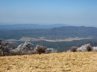 IMG 2856  View from Gregory Bald towards Cades Cove