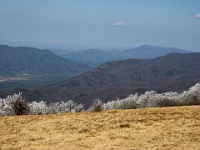 IMG 2858  View from Gregory Bald towards Cades Cove