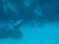 IMG 1484