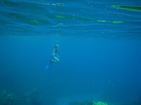 IMG 1530