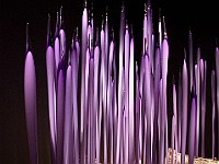 DSC 1891  Dale Chihuly - Reeds : flowers, glass, museum
