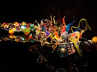 DSC 1898  Dale Chihuly - Boats : flowers, glass, museum