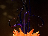 DSC 1900  Dale Chihuly - Chandeliers : flowers, glass, museum
