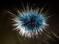 DSC 1901  Dale Chihuly - Chandeliers : flowers, glass, museum