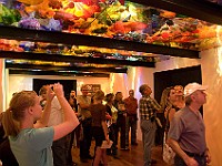 DSC 1905  Dale Chihuly - Persian Ceiling : flowers, glass, museum