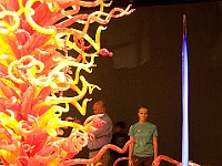DSC 1910  Dale Chihuly - Mille Fiori Garden : flowers, glass, museum