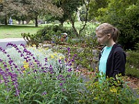 DSC 1928 : flowers, garden