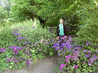 DSC 1933 : flowers, garden