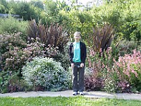 DSC 1942 : flowers, garden