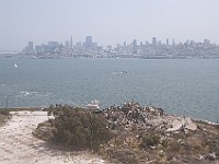 DSC 2028  View of San Francisco from Alcatraz : Alcatraz, flowers, prison