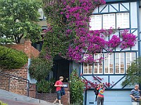 DSC 2072 : flowers, street