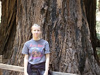 DSC 2232  Teagan in front of a coastal redwood : flowers