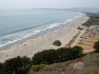DSC 2252  Stinson Beach seen from an overlook on Highway 1 : flowers
