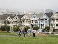 DSC 2345  The Steiner Street "Painted Ladies" : flowers