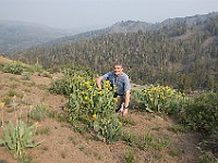 DSC 2400  Richard at Sonora Pass; smoke/haze from the wildfires in the background : flowers