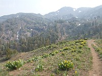 DSC 2401  Sonora Pass with haze from the wildfires : flowers