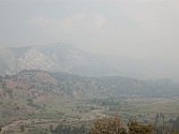 DSC 2404  Smoke and haze from the California wildfires : flowers