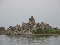 DSC 2419  The south shore of Mono Lake at dusk : flowers