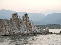 DSC 2420  The south shore of Mono Lake at dusk : flowers