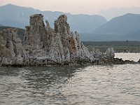 DSC 2421  The south shore of Mono Lake at dusk : flowers