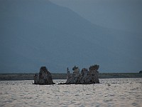 DSC 2422  The south shore of Mono Lake at dusk : flowers