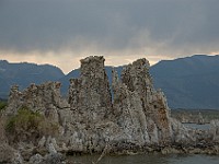 DSC 2464  South shore of Mono Lake at sunset : flowers