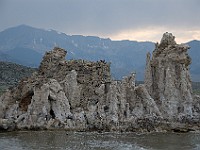 DSC 2471  South shore of Mono Lake at sunset : flowers