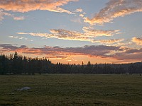 DSC 2565  Sunset at the meadow : flowers