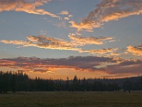 DSC 2568  Sunset at the meadow : flowers