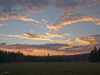 DSC 2570  Sunset at the meadow : flowers