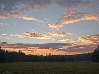 DSC 2571  Sunset at the meadow : flowers