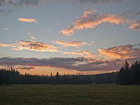 DSC 2572  Sunset at the meadow : flowers