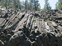 DSC 2633  Mini Devil's Postpile : flowers