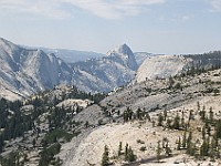 DSC 2695  View of Tuolemne Canyon from Olmstead Point with Half Dome in the background : flowers