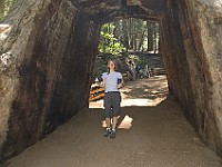 DSC 2708  Teagan in the redwood tunnel : flowers