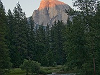 DSC 2845  Half Dome from Sentinel Bridge : flowers
