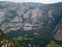 DSC 2875  Upper and Lower Yosemite Falls seen from Glacier Point : flowers
