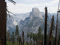 DSC 2879  Half Dome seen from the Panoramic Trail near Glacier Point : flowers