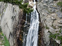 DSC 2889  Illilouette Falls seen from the Panoramic Trail : flowers