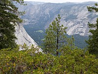 DSC 2899  Yosemite Valley and the Royal Arches seen from the Panoramic Trail : flowers
