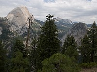 DSC 2911  Half Dome seen from the Panoramic Trail : flowers
