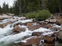 DSC 2926  The Merced River above Nevada Falls : flowers