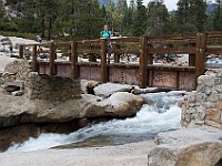 DSC 2933  The bridge over the Merced River at Nevada Falls : flowers