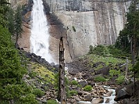 DSC 2969  Nevada Falls : flowers
