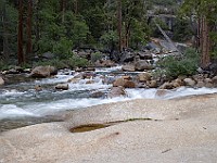 DSC 2978  The Merced River above Vernal Falls : flowers