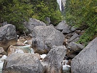 DSC 3011  Merced River below Vernal Falls : flowers