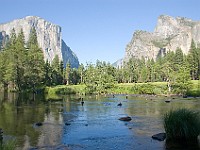 DSC 3080  Yosemite Valley seen from the Valley View pullout : flowers