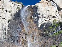 DSC 3094  Bridalveil Falls : flowers