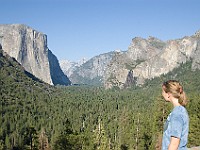 DSC 3105  Yosemite Valley seen from the Tunnel View pullout : flowers