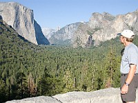 DSC 3106  Yosemite Valley seen from the Tunnel View pullout : flowers